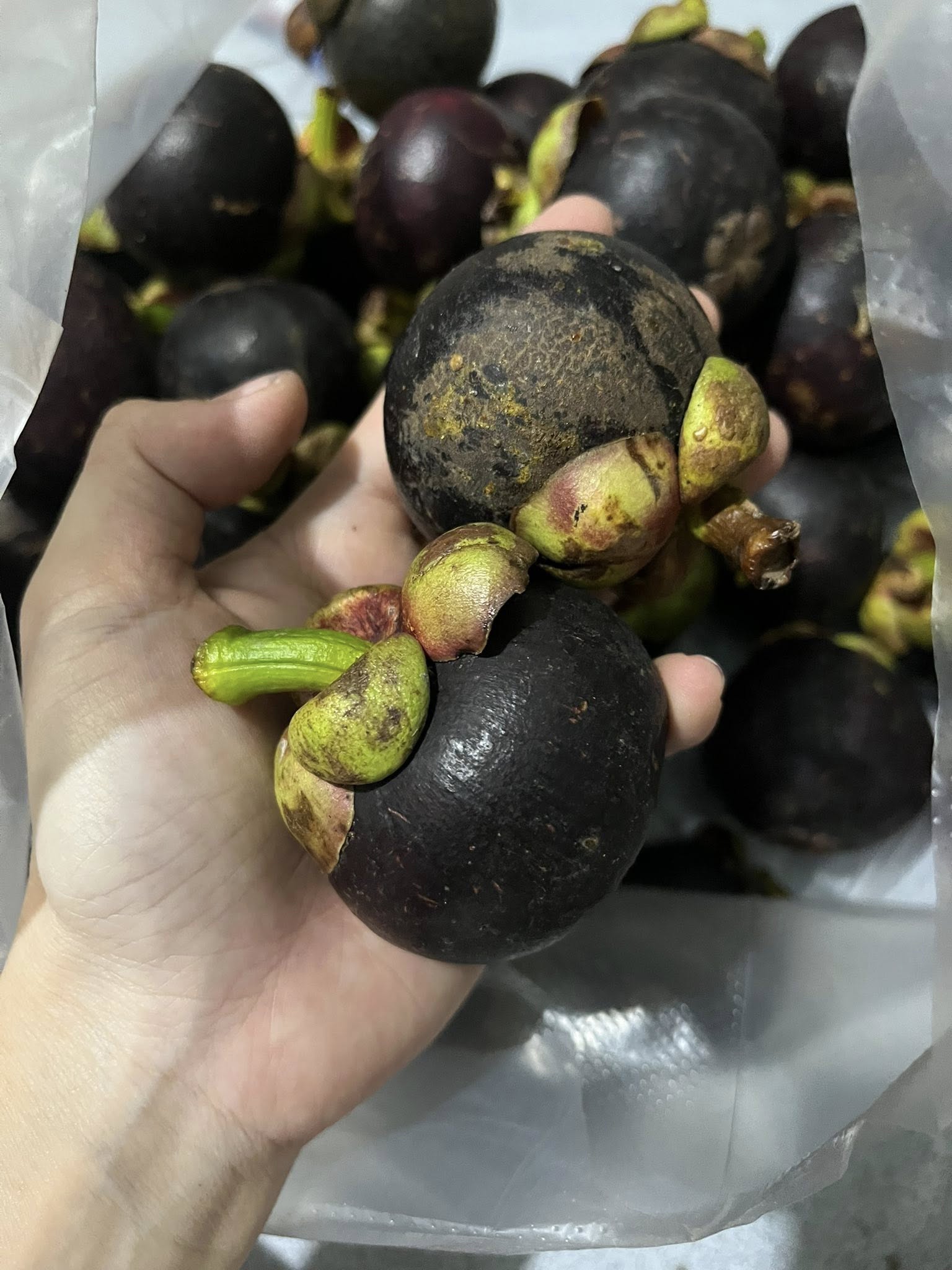 Măng cụt vào mùa bán ngập thị trường giá rẻ bèo, tiểu thương chia sẻ bí kíp chọn những quả tươi ngon - Ảnh 11.