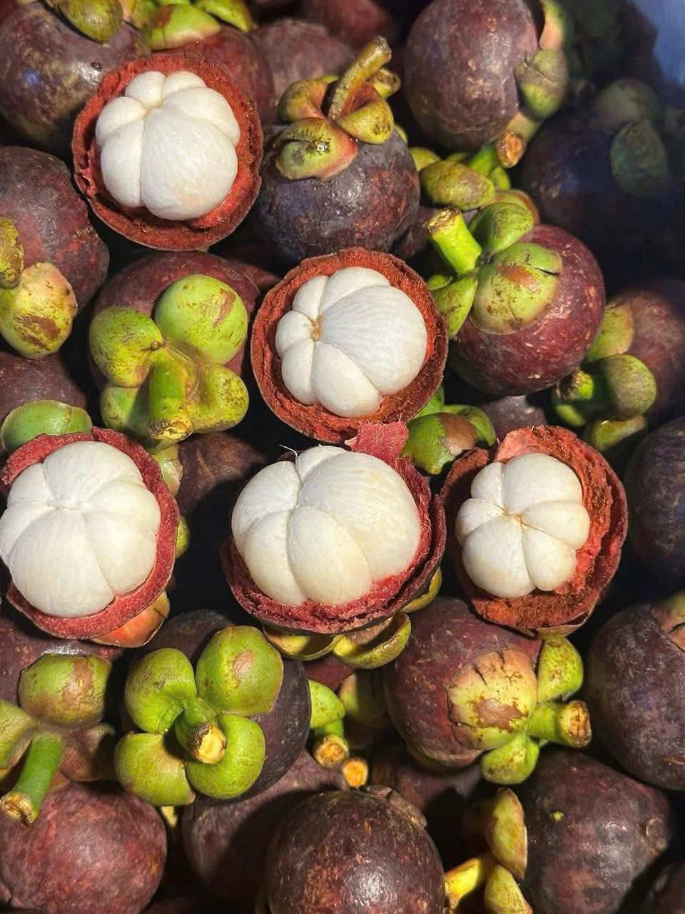 Măng cụt vào mùa bán ngập thị trường giá rẻ bèo, tiểu thương chia sẻ bí kíp chọn những quả tươi ngon - Ảnh 10.