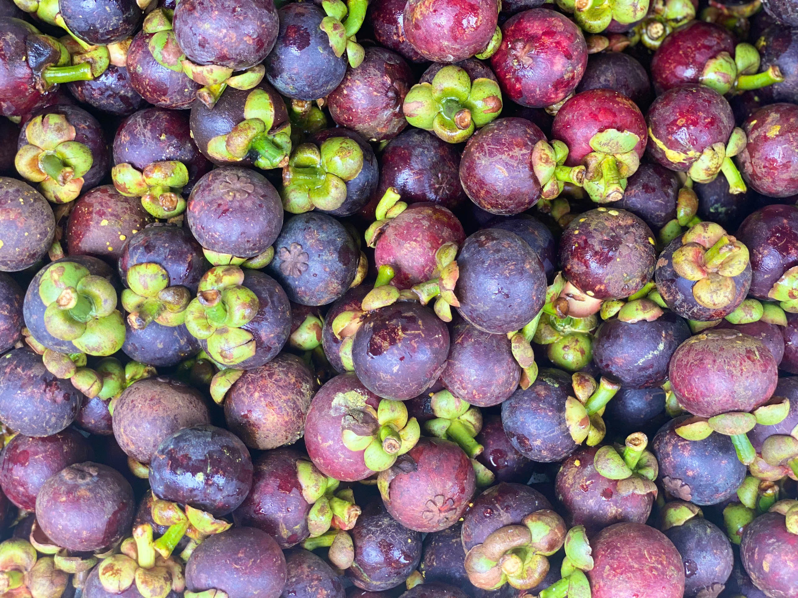 Măng cụt vào mùa bán ngập thị trường giá rẻ bèo, tiểu thương chia sẻ bí kíp chọn những quả tươi ngon - Ảnh 6.