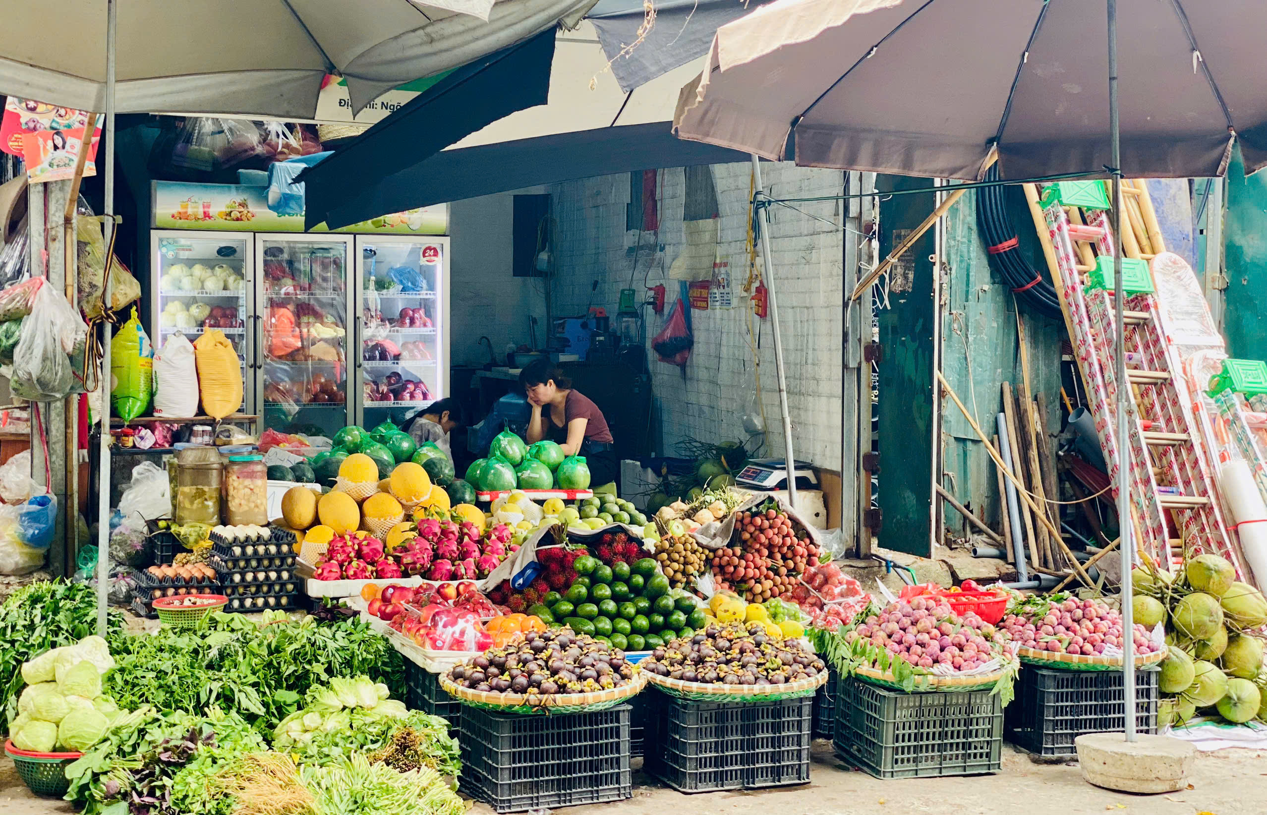 Măng cụt vào mùa bán ngập thị trường giá rẻ bèo, tiểu thương chia sẻ bí kíp chọn những quả tươi ngon - Ảnh 1.