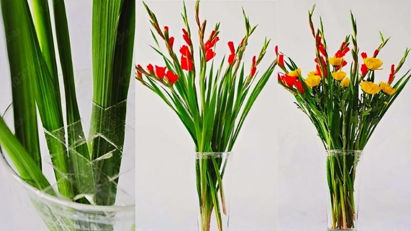 Bí quyết cắm hoa lay ơn đỏ đẹp và lâu tàn để trưng bàn thờ để cầu may- Ảnh 3.