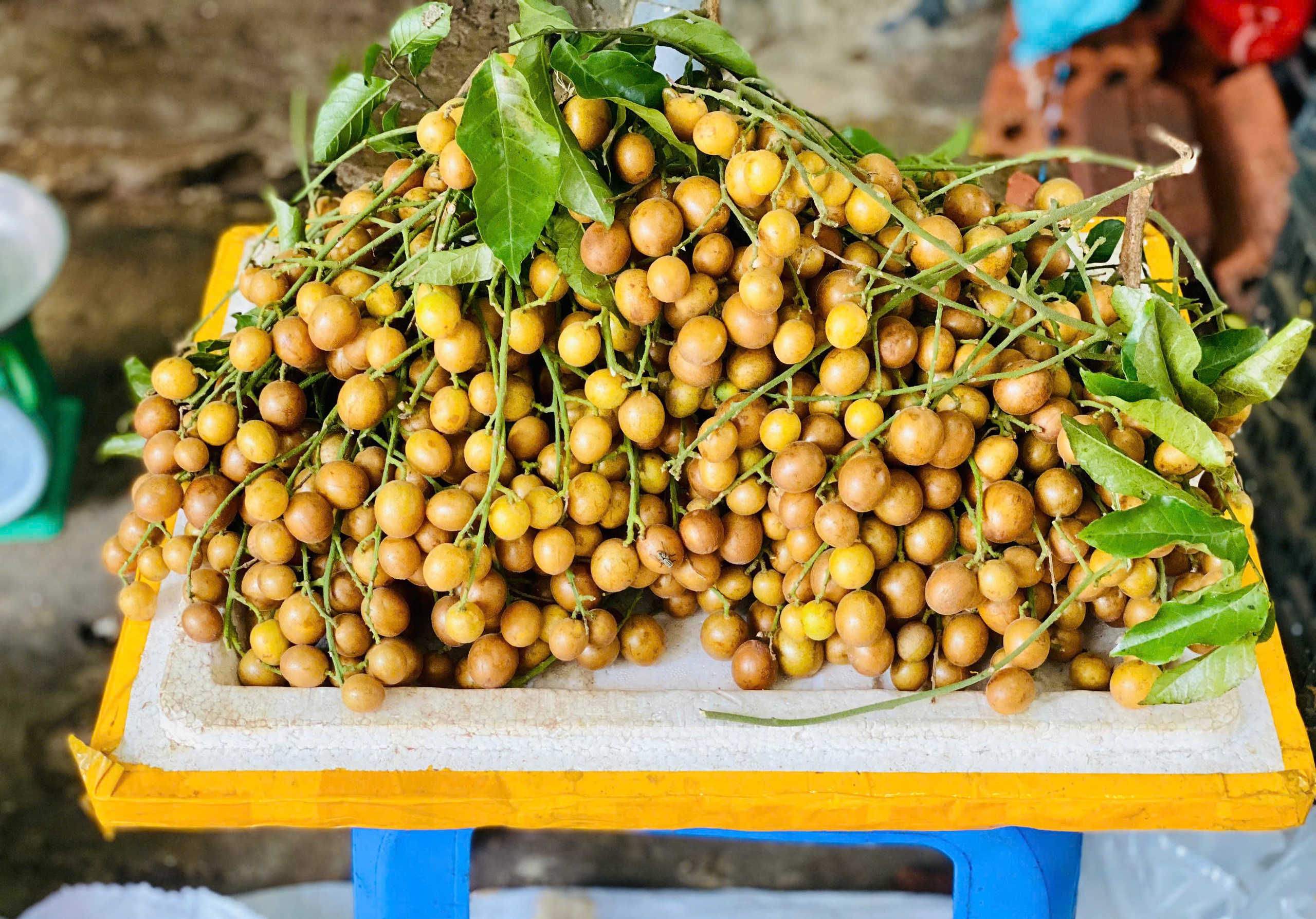 Loại quả ăn vặt dân dã vào mùa, chị em thi nhau săn đón thưởng thức- Ảnh 8.