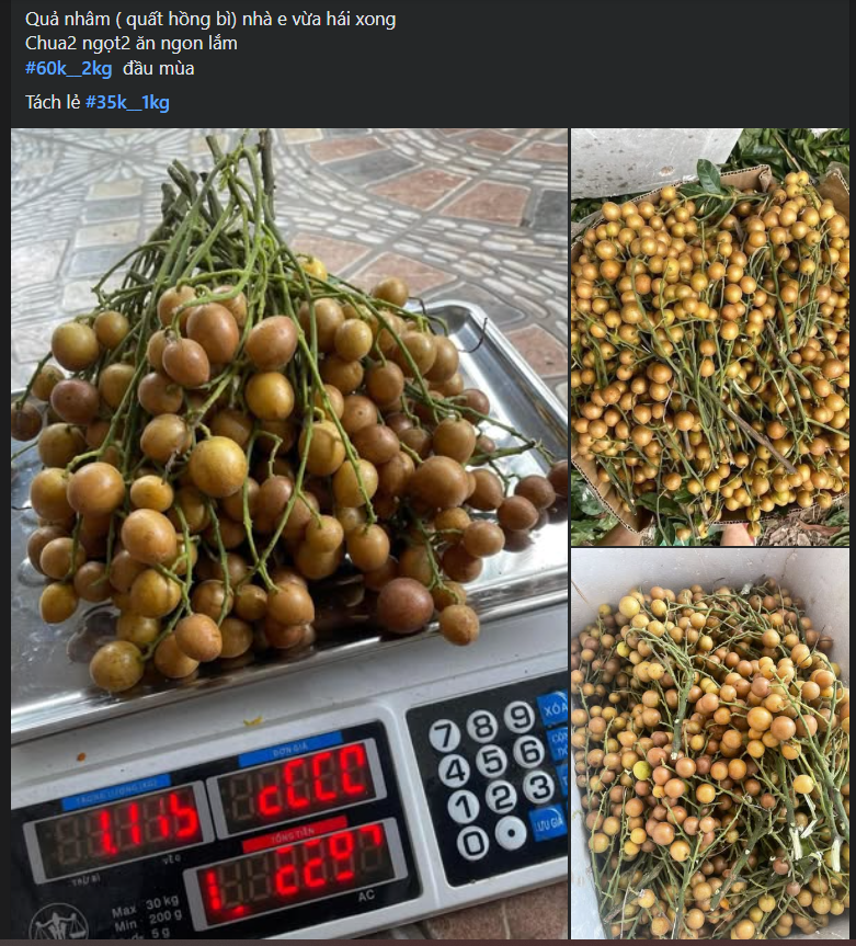 Loại quả ăn vặt dân dã vào mùa, chị em thi nhau săn đón thưởng thức- Ảnh 4.