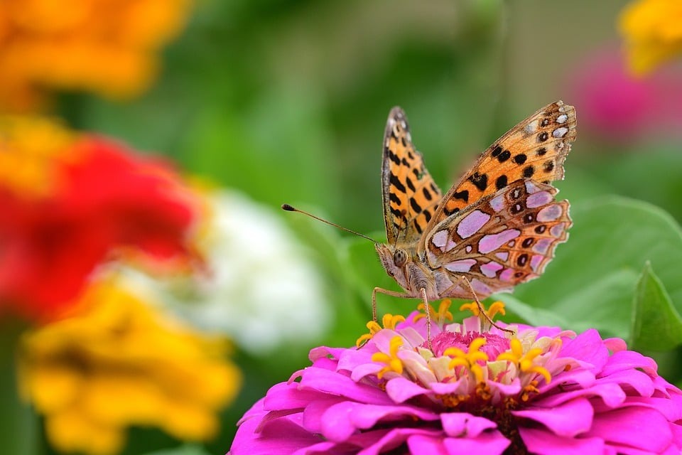 Người có ngày sinh Âm lịch kết thúc bằng 4 số này, nghèo khó chỉ là tạm thời, vận may đổ về từ nửa đời sau - Ảnh 3.