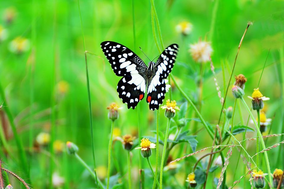 Người có ngày sinh Âm lịch kết thúc bằng 4 số này, nghèo khó chỉ là tạm thời, vận may đổ về từ nửa đời sau - Ảnh 1.