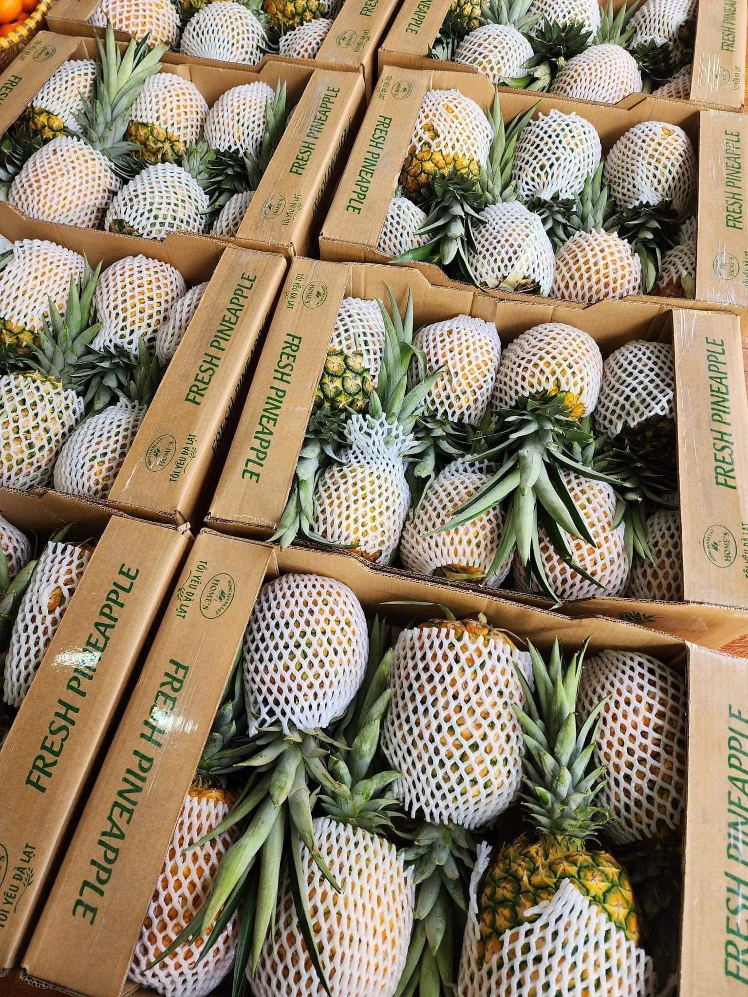 Xuất hiện loại dứa lạ trên thị trường, thơm ngon như mật được chị em đua nhau săn đón- Ảnh 6.