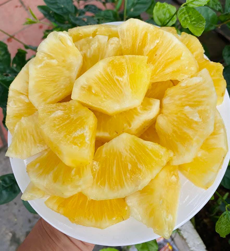 Xuất hiện loại dứa lạ trên thị trường, thơm ngon như mật được chị em đua nhau săn đón- Ảnh 9.