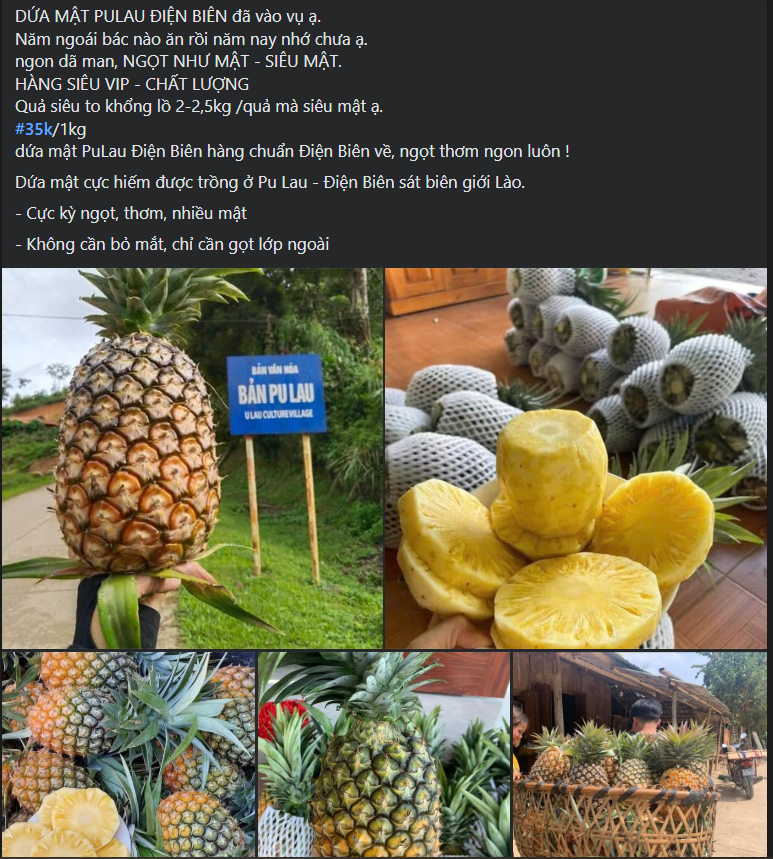 Xuất hiện loại dứa lạ trên thị trường, thơm ngon như mật được chị em đua nhau săn đón- Ảnh 2.