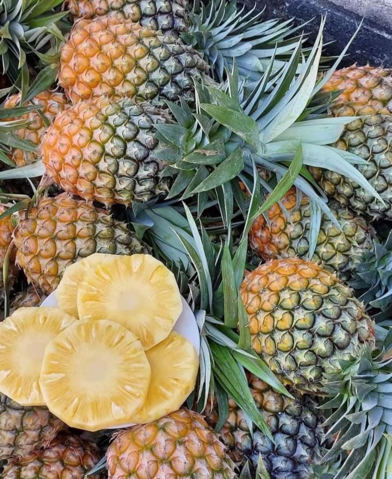 Xuất hiện loại dứa lạ trên thị trường, thơm ngon như mật được chị em đua nhau săn đón- Ảnh 7.