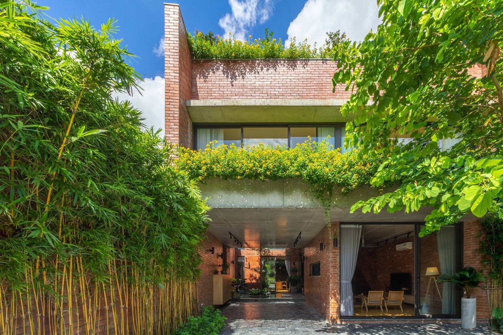 Trồng tre, trúc có thực sự mang lại tài lộc và vận may trong gia đình- Ảnh 2.