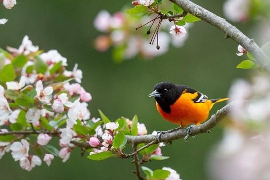 Tháng sinh Âm lịch của người có năng lực hơn người, đến trung niên sẽ tiến xa trong sự nghiệp- Ảnh 3. Tháng sinh Âm lịch của người có năng lực hơn người, đến trung niên sẽ tiến xa trong sự nghiệp- Ảnh 3.