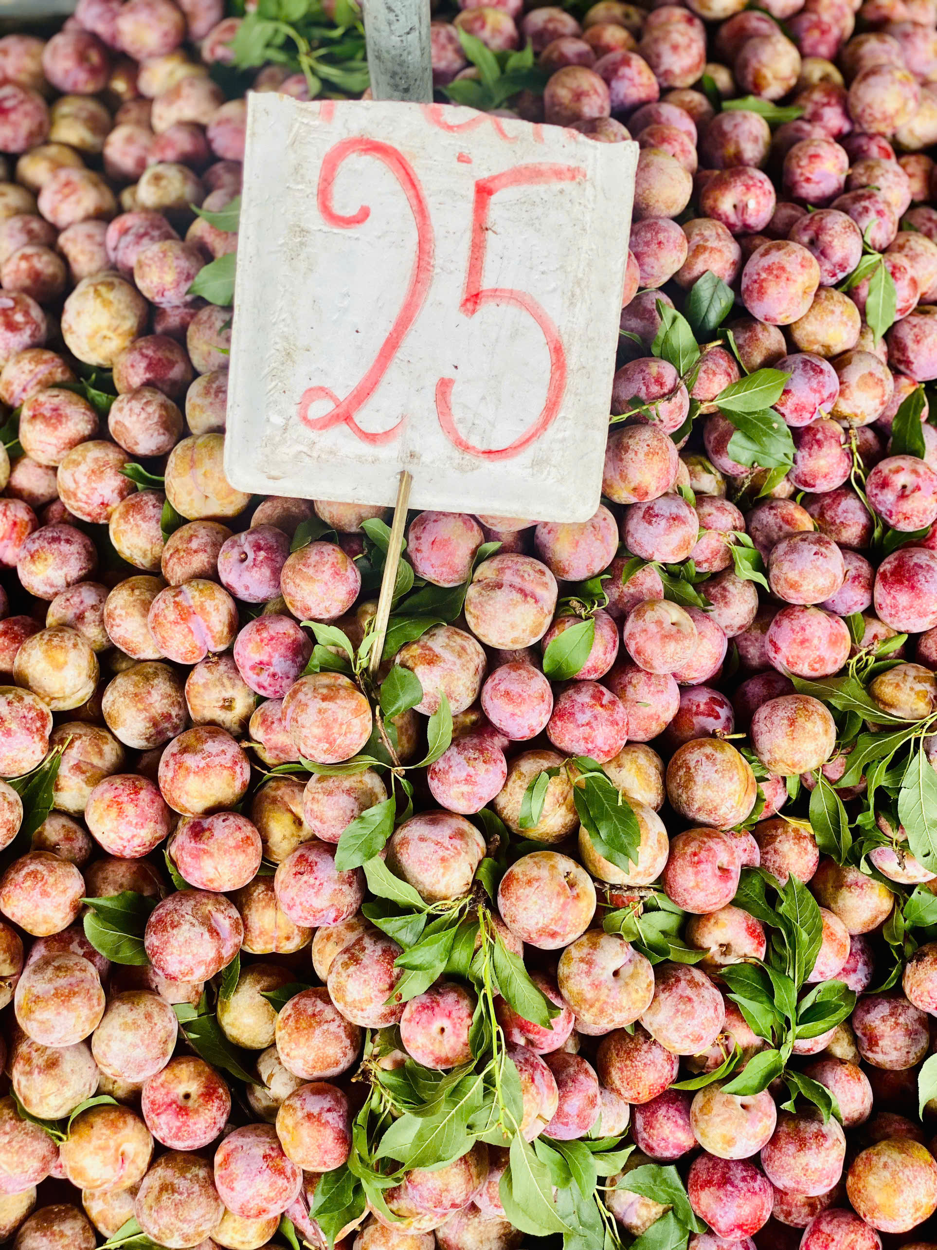 Mận hậu giảm giá sâu chỉ còn vài nghìn đồng/kg bán đổ đống đầy thị trường - Ảnh 9.