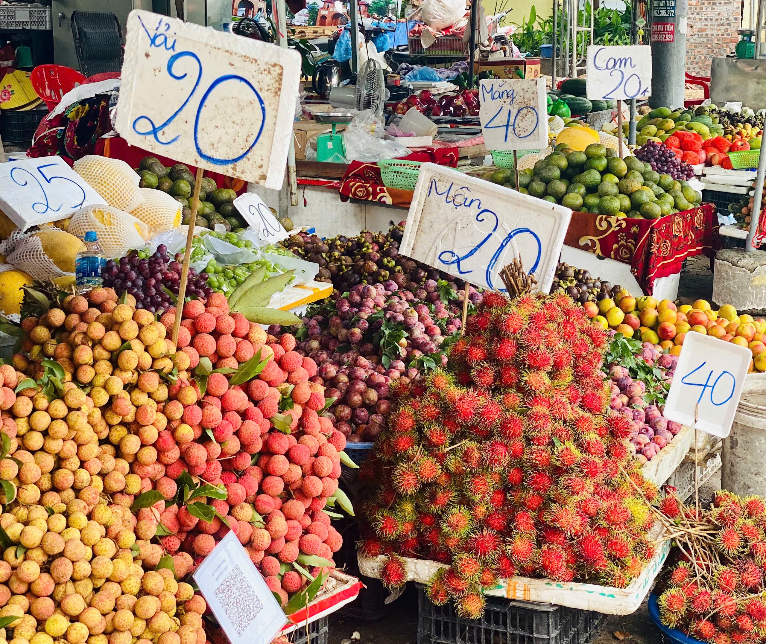 Mận hậu giảm giá sâu chỉ còn vài nghìn đồng/kg bán đổ đống đầy thị trường - Ảnh 1.