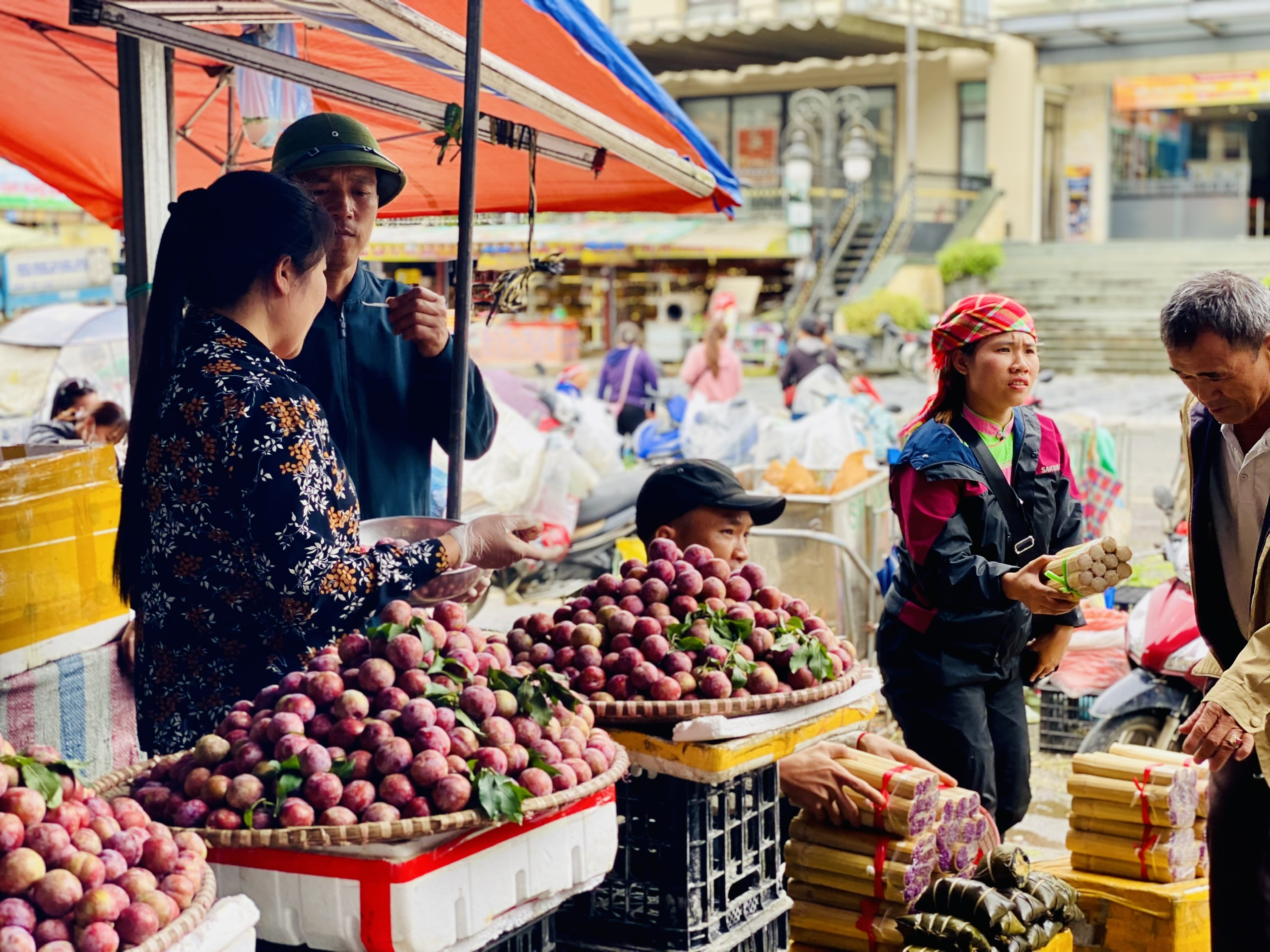 Mận hậu giảm giá sâu chỉ còn vài nghìn đồng/kg bán đổ đống đầy thị trường - Ảnh 2.