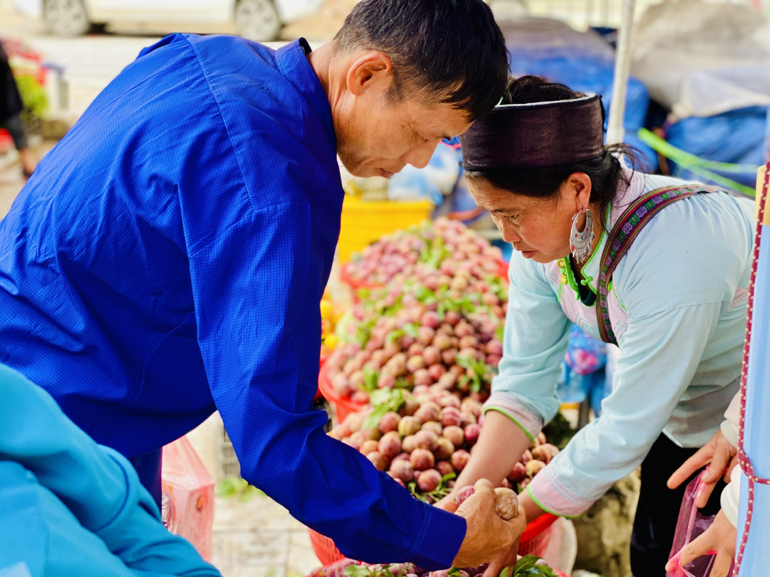 Mận hậu giảm giá sâu chỉ còn vài nghìn đồng/kg bán đổ đống đầy thị trường - Ảnh 7.