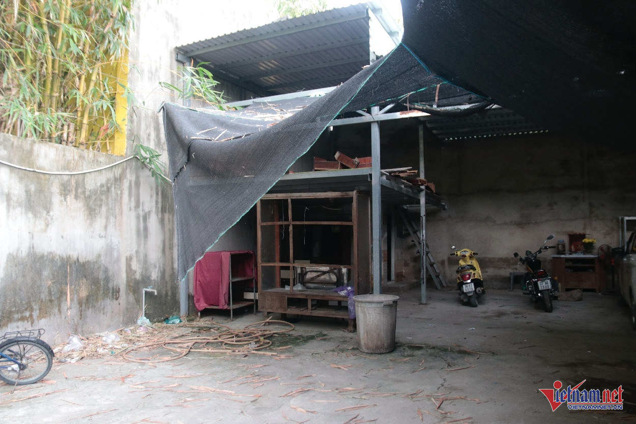 Nghệ sĩ Ngọc Tâm Tâm tài hoa một thời: Tuổi 62 sống cảnh túng thiếu, bệnh tật - Ảnh 3. Nghệ sĩ Ngọc Tâm Tâm tài hoa một thời: Tuổi 62 sống cảnh túng thiếu, bệnh tật - Ảnh 3.