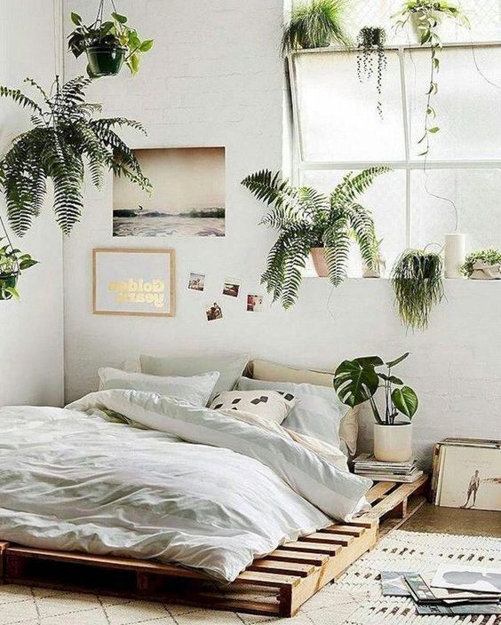 Những loại cây nhả khí oxy vào ban đêm, trồng trong phòng ngủ giúp tăng sinh dương khí, ngủ ngon và cải thiện sức khỏe- Ảnh 4. Những loại cây nhả khí oxy vào ban đêm, trồng trong phòng ngủ giúp tăng sinh dương khí, ngủ ngon và cải thiện sức khỏe- Ảnh 4.