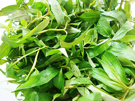 Muốn nấu được cháo cá diếc ngon, mềm ngọt, nhất định phải có loại rau này- Ảnh 2. Muốn nấu được cháo cá diếc ngon, mềm ngọt, nhất định phải có loại rau này- Ảnh 2.
