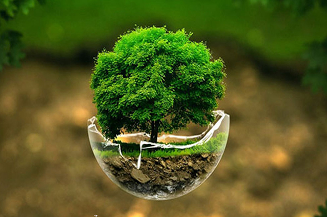 Đây mới là cách lựa chọn tranh hợp mệnh giúp gia chủ bình an, may mắn - Ảnh 2. Đây mới là cách lựa chọn tranh hợp mệnh giúp gia chủ bình an, may mắn - Ảnh 2.