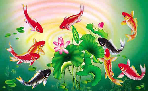 Cách bài trí tranh chín con cá chép giúp thăng tiến trong sự nghiệp và thịnh vượng về tài chính - Ảnh 5. Cách bài trí tranh chín con cá chép giúp thăng tiến trong sự nghiệp và thịnh vượng về tài chính - Ảnh 5.
