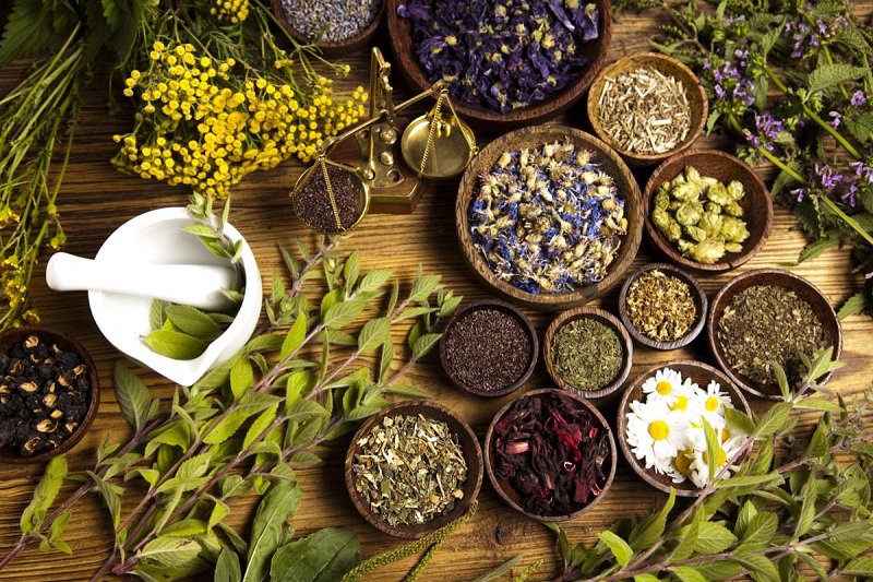 Thi vào giữa mùa nắng nóng, sĩ tử nên ăn gì để thanh nhiệt, 'giải độc' cơ thể? - Ảnh 3.