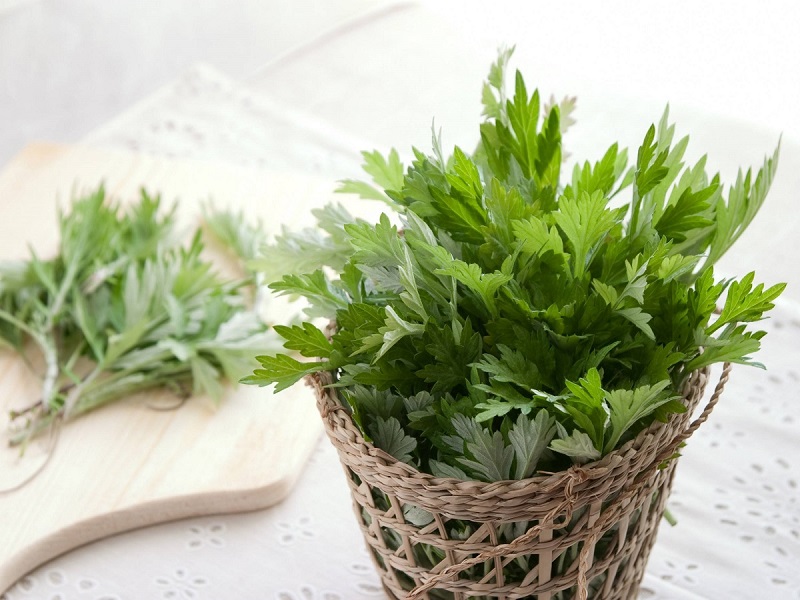 Việt Nam có loại rau là 'vua thảo mộc' giúp giảm huyết áp cao, chống oxy hóa cực tốt - Ảnh 2. Việt Nam có loại rau là 'vua thảo mộc' giúp giảm huyết áp cao, chống oxy hóa cực tốt - Ảnh 2.