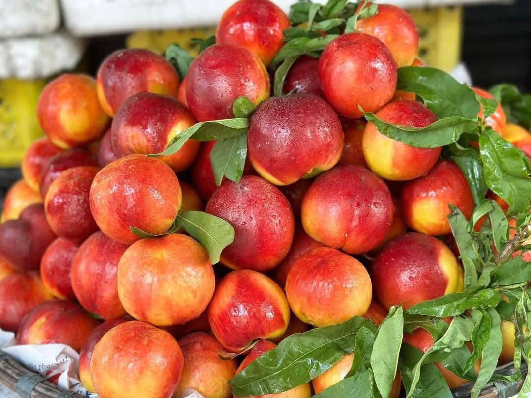 Loại quả giàu chất chống oxy hóa đang vào mùa, bán đầy chợ Việt giá hơn chục nghìn/kg- Ảnh 10.