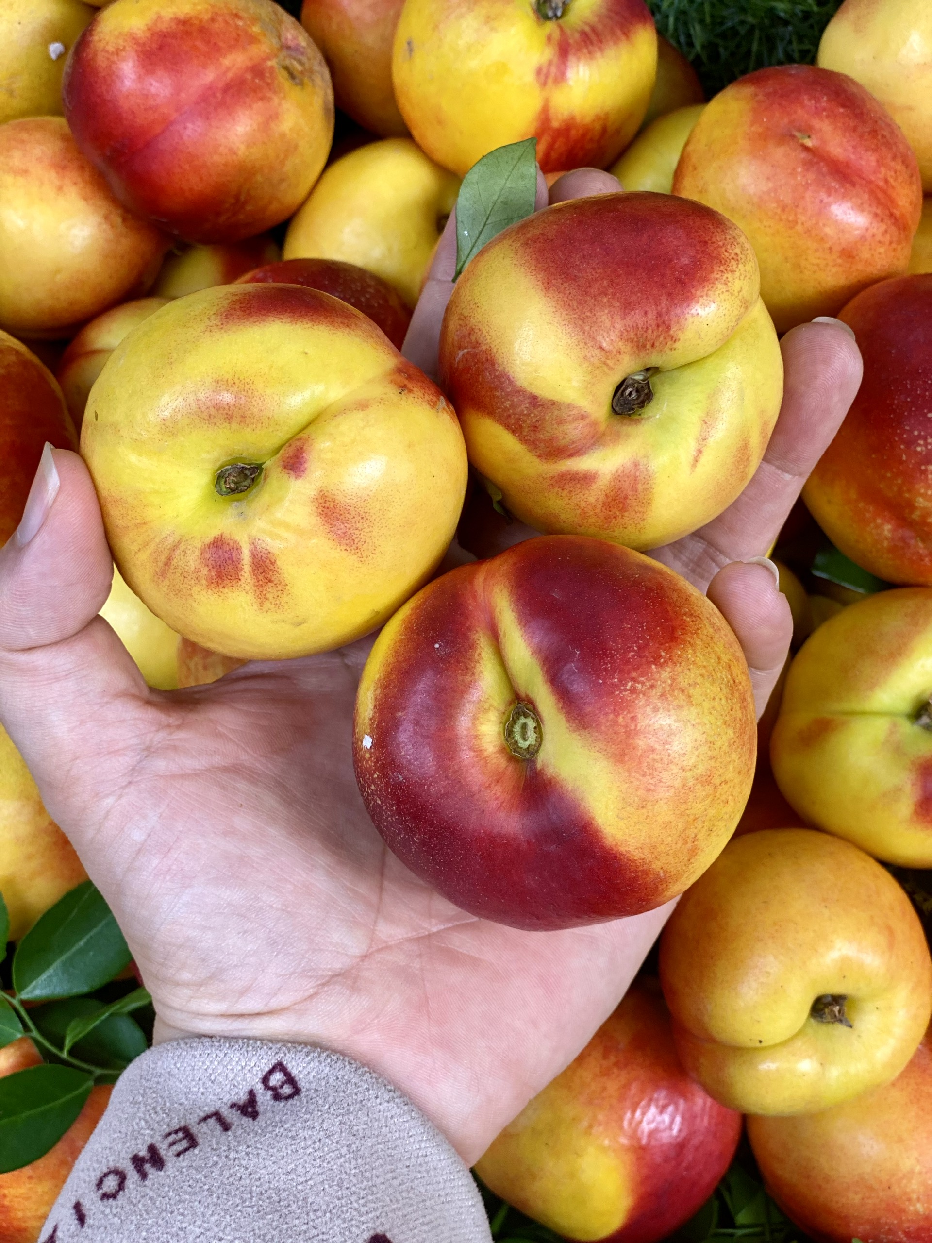 Loại quả giàu chất chống oxy hóa đang vào mùa, bán đầy chợ Việt giá hơn chục nghìn/kg- Ảnh 8.