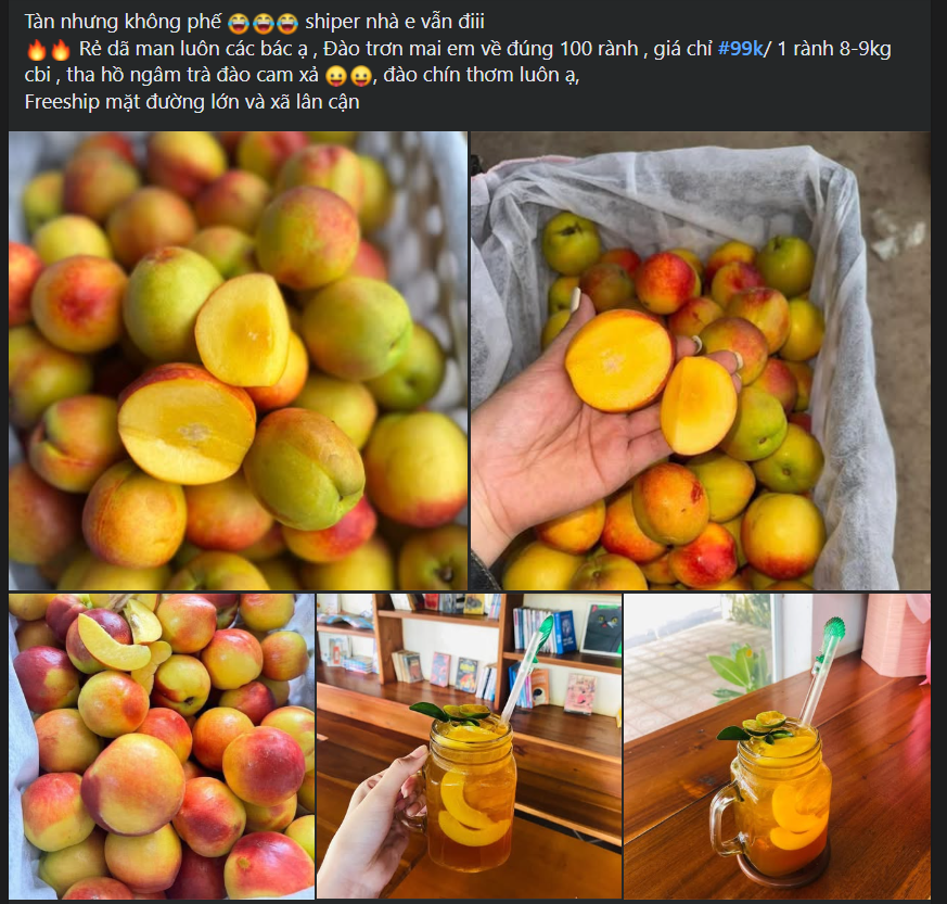 Loại quả giàu chất chống oxy hóa đang vào mùa, bán đầy chợ Việt giá hơn chục nghìn/kg- Ảnh 2.