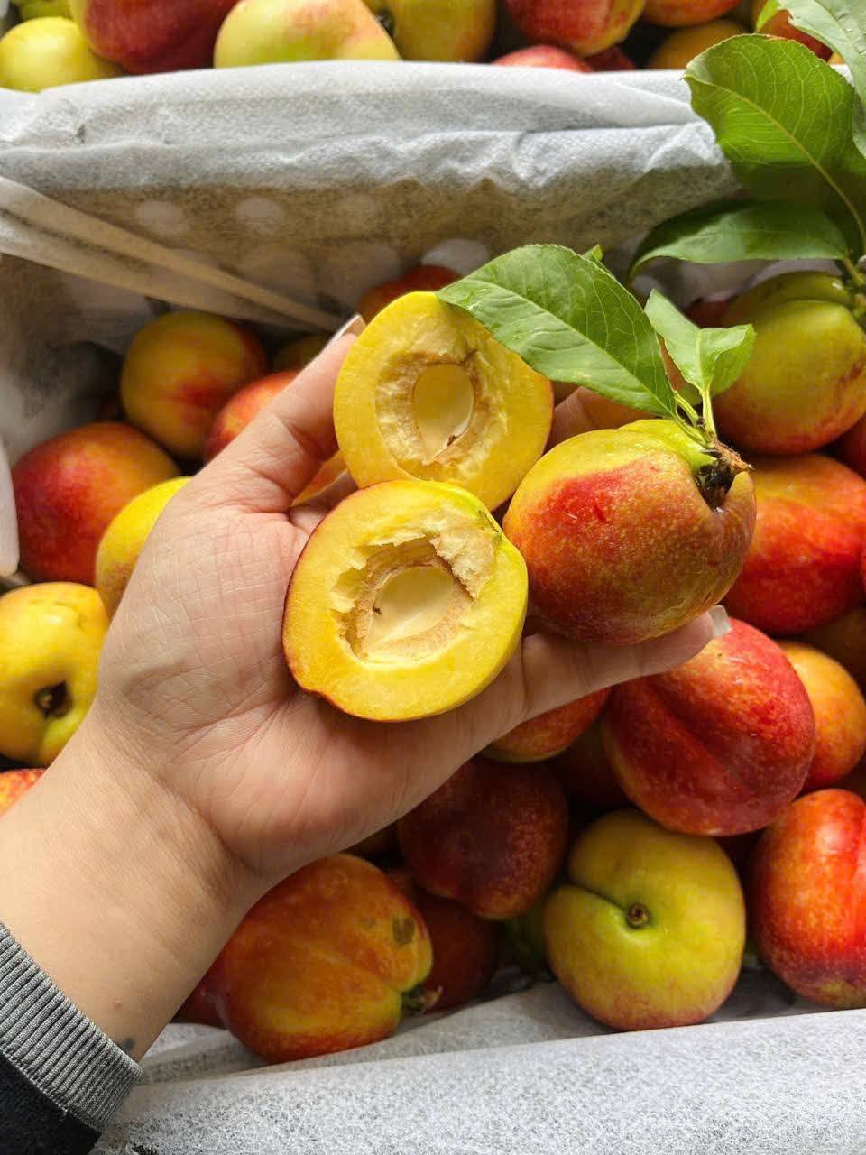 Loại quả giàu chất chống oxy hóa đang vào mùa, bán đầy chợ Việt giá hơn chục nghìn/kg- Ảnh 9.