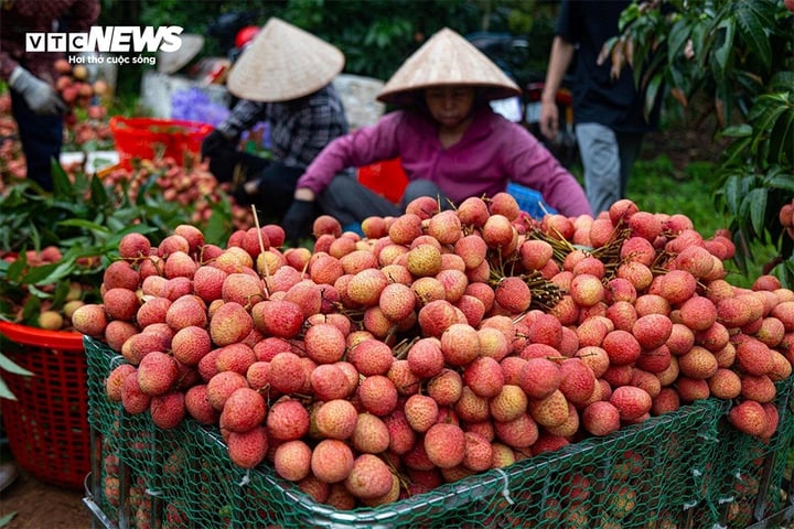 lam-giam-vai-thieu-14145281-1749180138861-1749180139130416482611.jpg