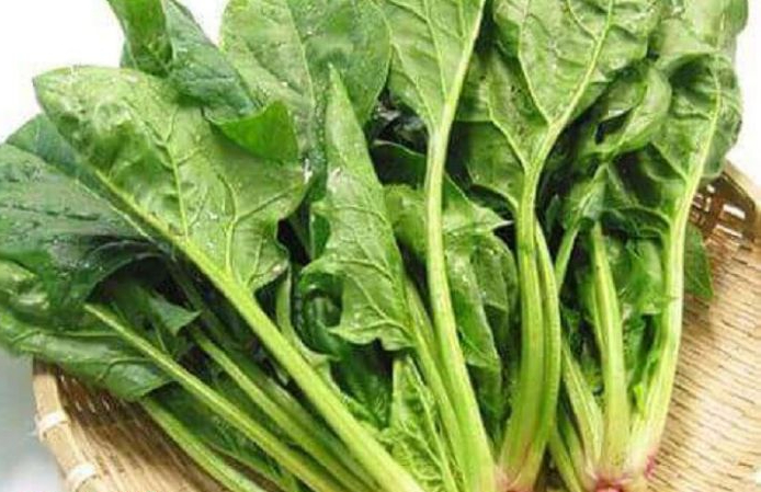 Thực phẩm giàu nước cần bổ sung cho các sĩ tử không bị mất nước do trời nắng nóng - Ảnh 3.