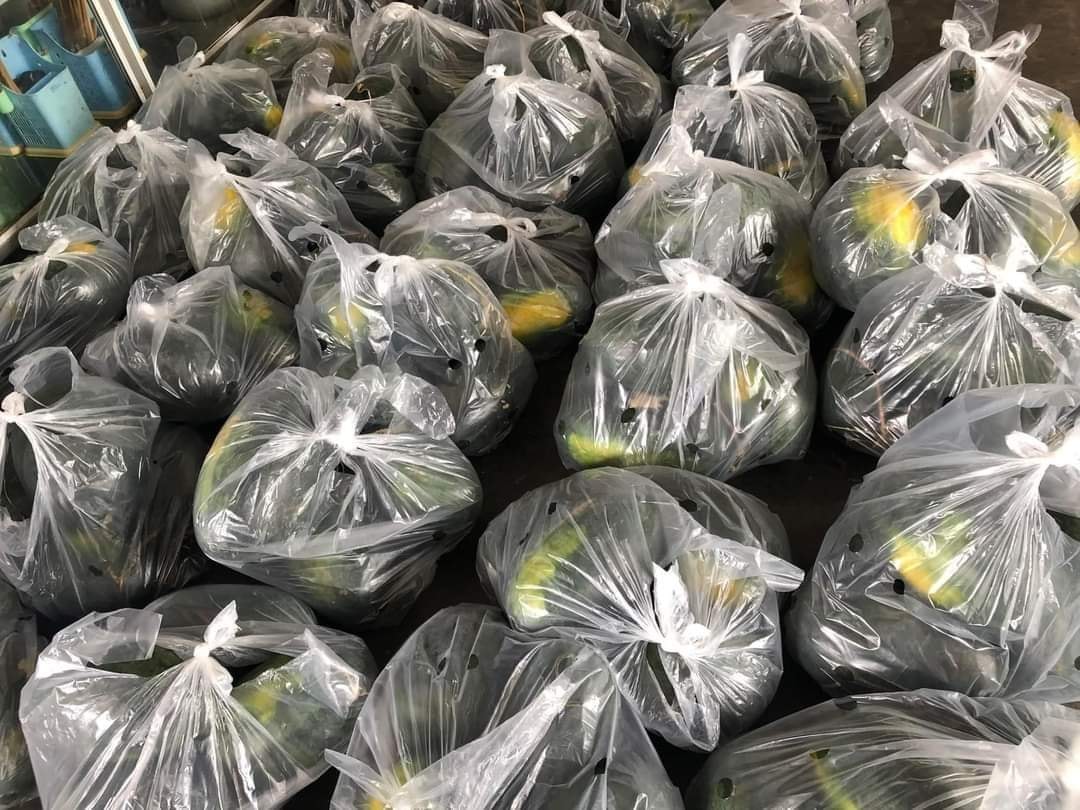 Tiểu thương lý giải nguyên nhân  dưa hấu bán tràn ngập thị trường giá chỉ 5.000 đồng/kg, - Ảnh 10.