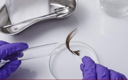 Tôi suýt mất vợ vì lén mang tóc con đi xét nghiệm ADN