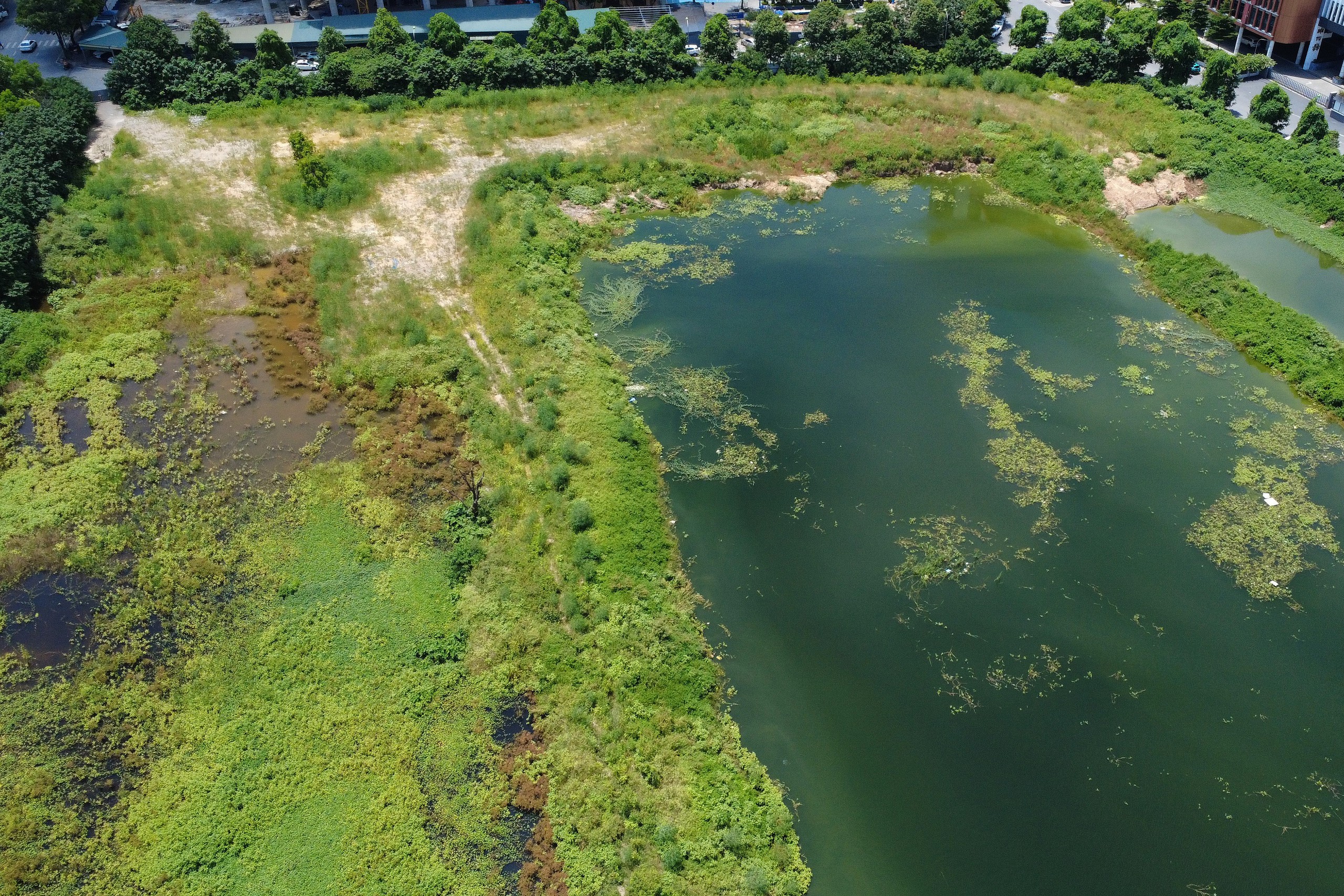 dji0070-17521353893041237456747.jpg