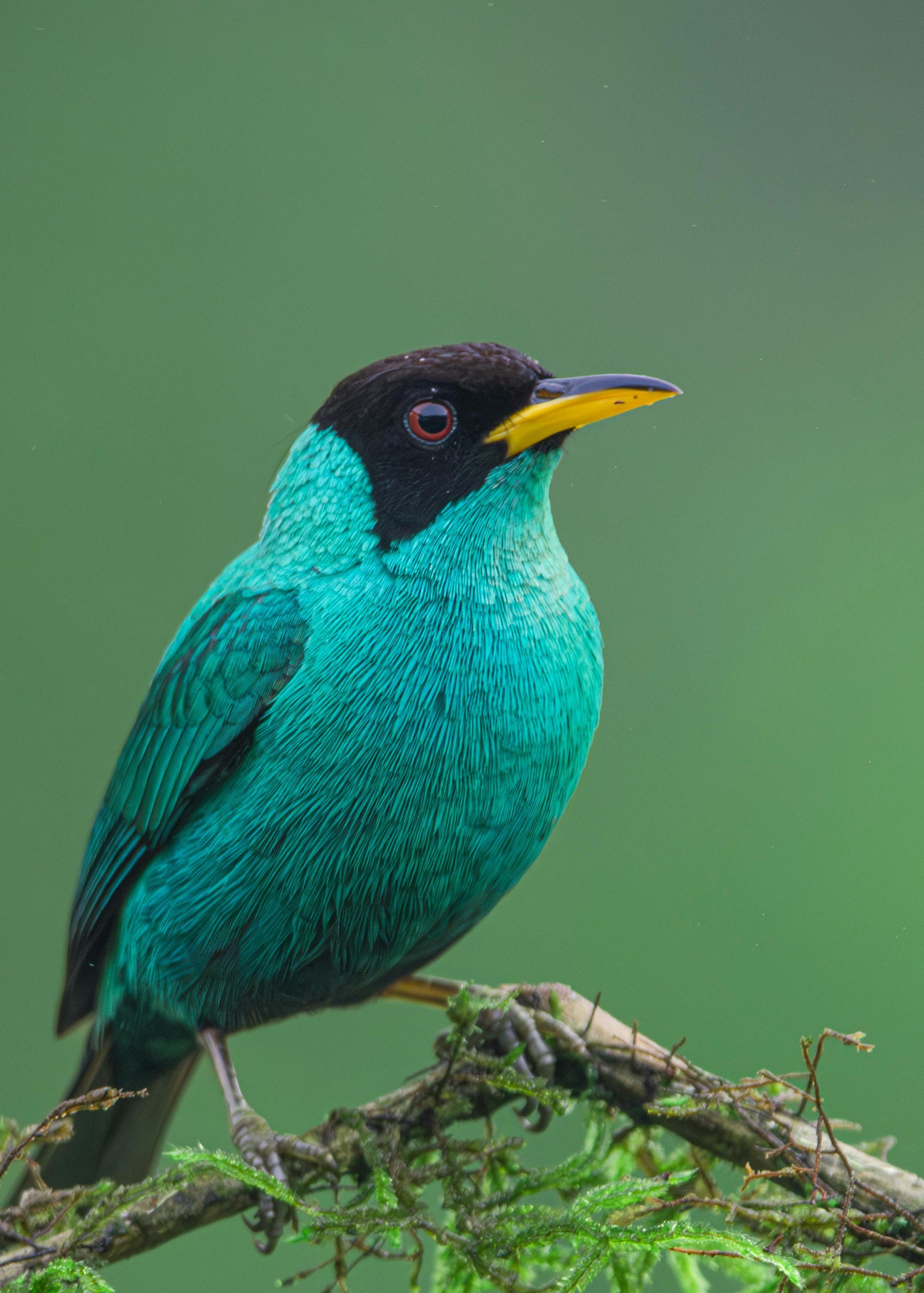 Số cuối ngày sinh Âm lịch của người có hậu vận sung túc khó ai sánh kịp- Ảnh 3. Số cuối ngày sinh Âm lịch của người có hậu vận sung túc khó ai sánh kịp- Ảnh 3.