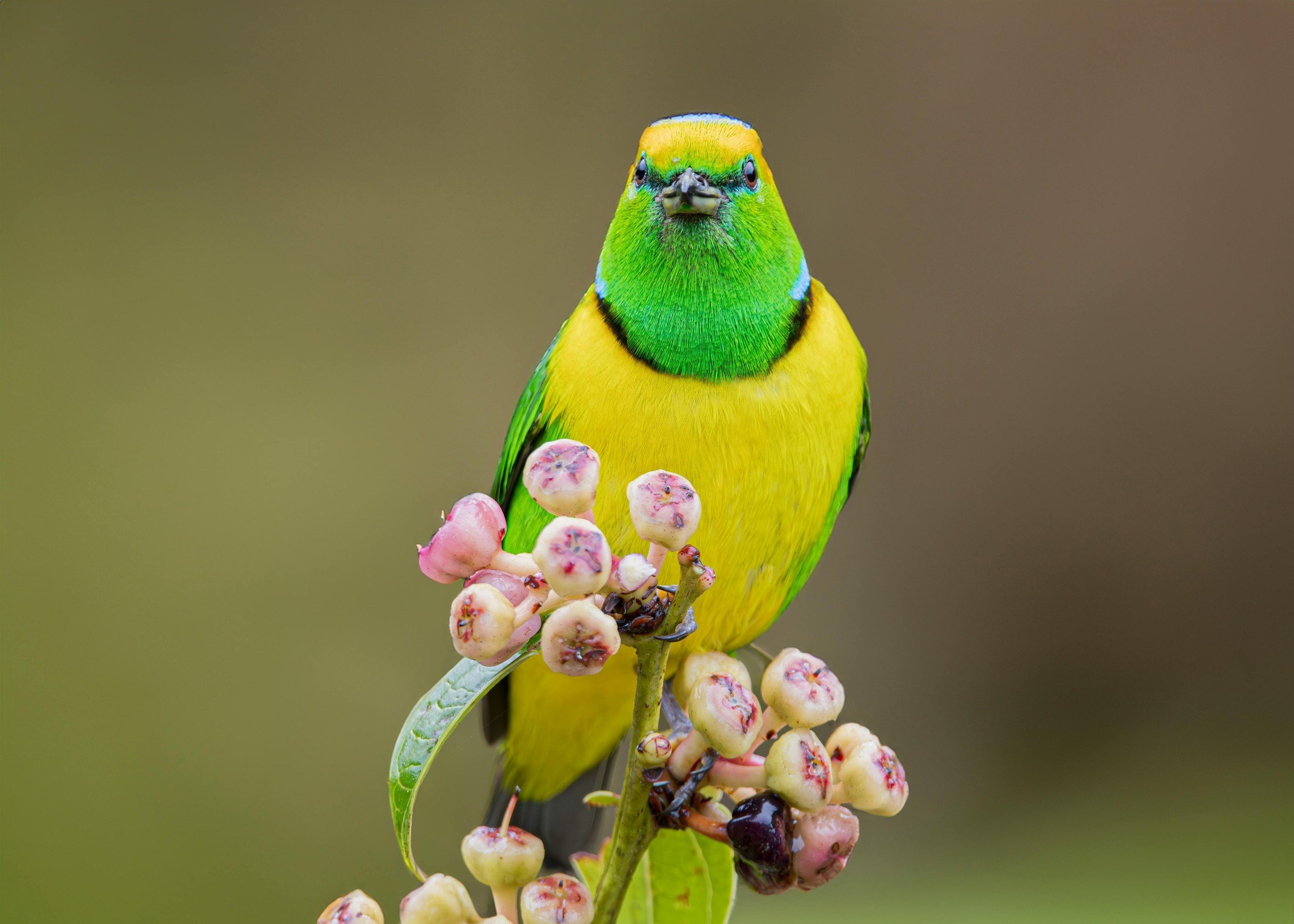 Số cuối ngày sinh Âm lịch của người có hậu vận sung túc khó ai sánh kịp- Ảnh 2. Số cuối ngày sinh Âm lịch của người có hậu vận sung túc khó ai sánh kịp- Ảnh 2.