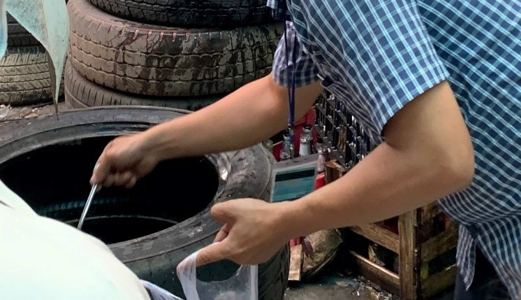 Sốt xuất huyết gia tăng báo động tại TPHCM - Ảnh 1. Sốt xuất huyết gia tăng báo động tại TPHCM - Ảnh 1.