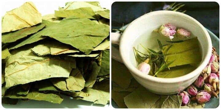Uống nước lá sen có tác dụng gì? - Ảnh 1. Uống nước lá sen có tác dụng gì? - Ảnh 1.