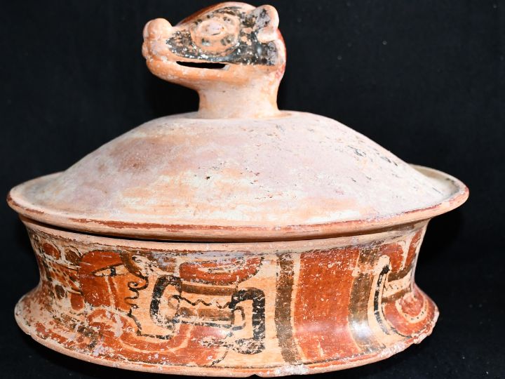 chase-caracol-maya-pottery-basal-flange-bowl-with-a-coatimundi-head-newsroom-17522845575061673149139-1752364924453-1752364924591799733242.jpg