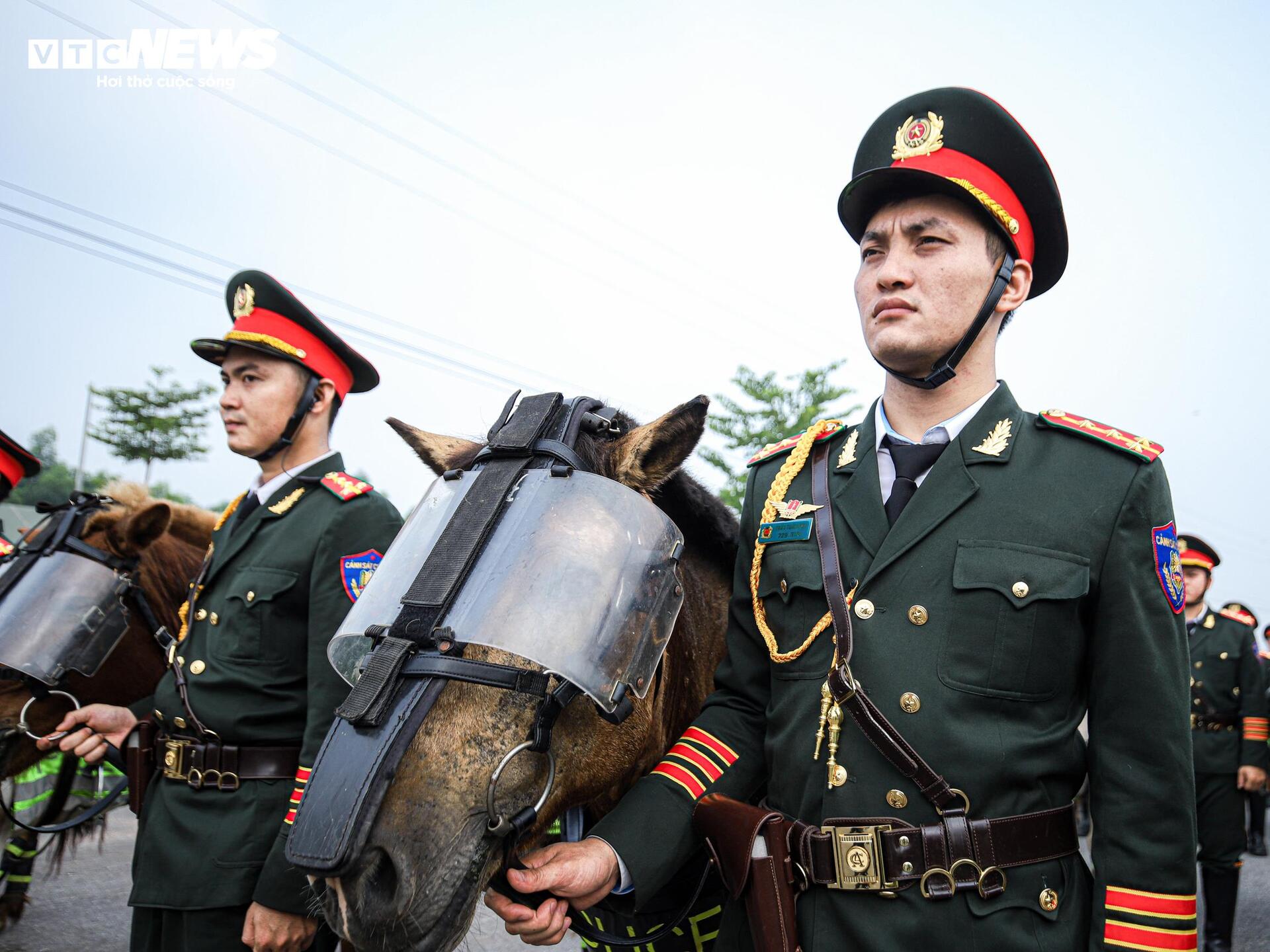 Ngắm dàn chiến mã tinh nhuệ tập luyện cho lễ diễu binh 2/9 - Ảnh 6. Ngắm dàn chiến mã tinh nhuệ tập luyện cho lễ diễu binh 2/9 - Ảnh 6.