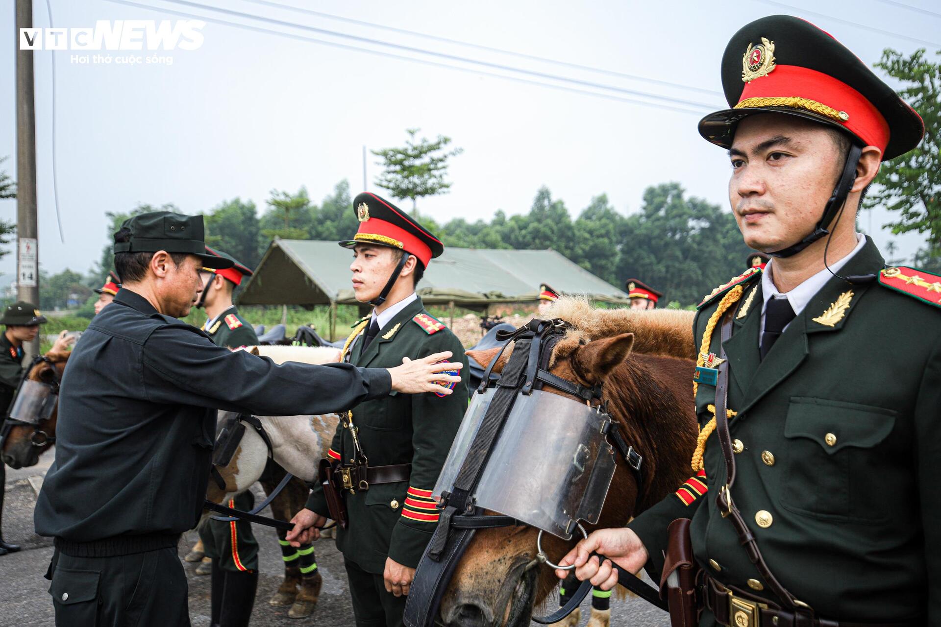 Ngắm dàn chiến mã tinh nhuệ tập luyện cho lễ diễu binh 2/9 - Ảnh 7. Ngắm dàn chiến mã tinh nhuệ tập luyện cho lễ diễu binh 2/9 - Ảnh 7.