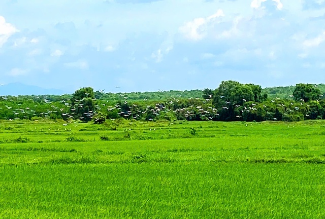 Tin sáng 15/7: Miền Bắc chuyển mưa dông vào cuối tuần; Muốn thi công chức phải đáp ứng những điều kiện gì?- Ảnh 7. Tin sáng 15/7: Miền Bắc chuyển mưa dông vào cuối tuần; Muốn thi công chức phải đáp ứng những điều kiện gì?- Ảnh 7.