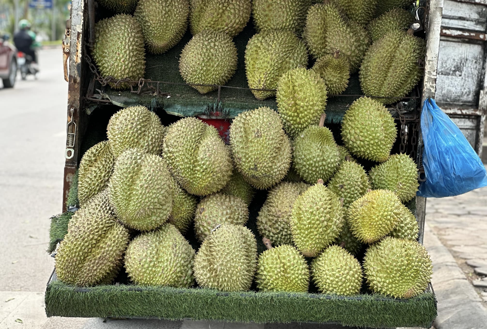 Lần đầu tiên trong 4 năm, dân thoải mái ăn sầu riêng với giá rẻ khó tin - Ảnh 1. Lần đầu tiên trong 4 năm, dân thoải mái ăn sầu riêng với giá rẻ khó tin - Ảnh 1.