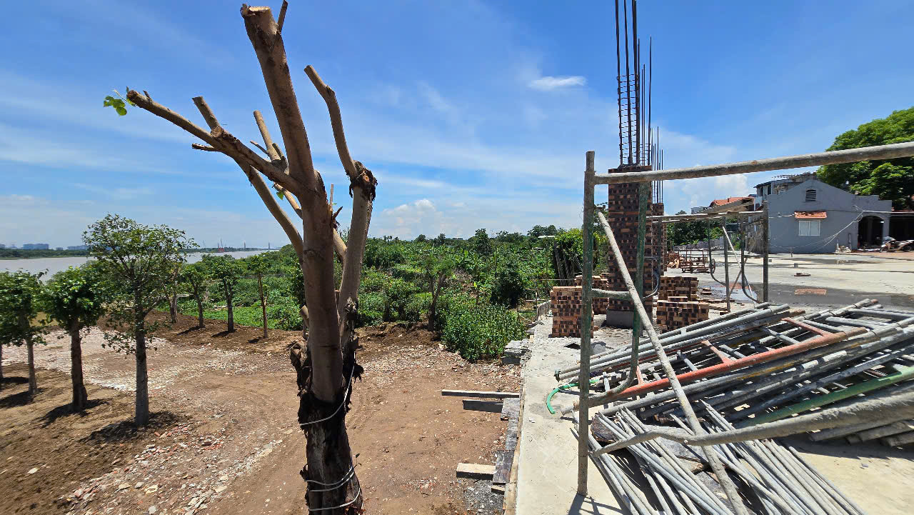 Đê điều Hà Nội bị 'bóp nghẹt' do lấn chiếm, nguy cơ vỡ trận khi lũ lớn - Ảnh 1. Đê điều Hà Nội bị 'bóp nghẹt' do lấn chiếm, nguy cơ vỡ trận khi lũ lớn - Ảnh 1.
