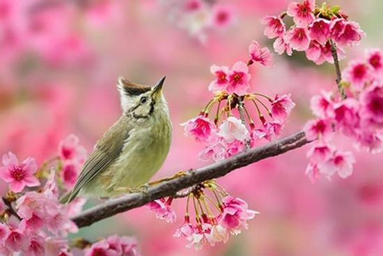 Sinh đúng ngày, số mệnh đổi khác: Ngày sinh Âm lịch của người bản lĩnh, vững vàng trước nghịch cảnh- Ảnh 3. Sinh đúng ngày, số mệnh đổi khác: Ngày sinh Âm lịch của người bản lĩnh, vững vàng trước nghịch cảnh- Ảnh 3.