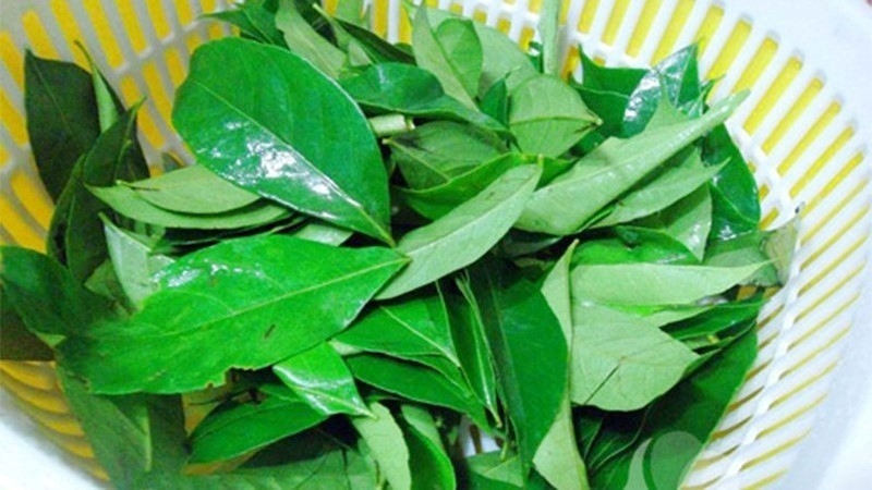 Loại lá thơm phức là "kho" dinh dưỡng cực bổ, ở Việt Nam đi đâu cũng thấy - Ảnh 2. Loại lá thơm phức là "kho" dinh dưỡng cực bổ, ở Việt Nam đi đâu cũng thấy - Ảnh 2.