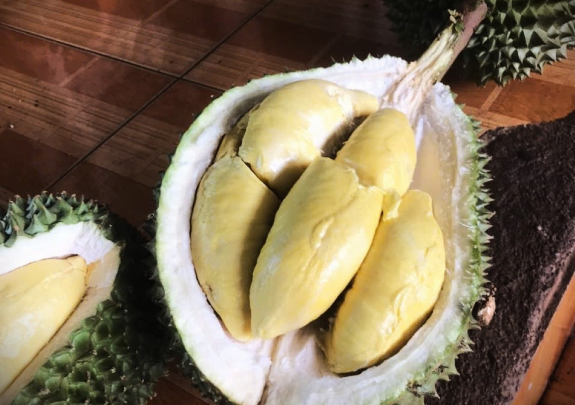 ‘Vua' của các loại sầu riêng bị chê, rớt giá thảm - Ảnh 1.