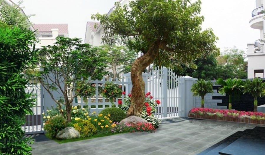 Trước cửa nhà có cây to, ảnh hưởng ra sao đến tinh thần và sức khỏe của gia chủ - Ảnh 3.