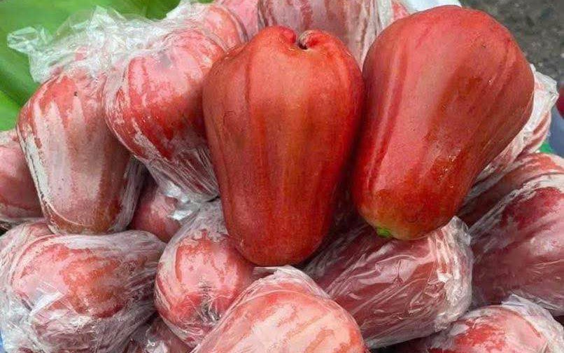roi-do-an-phuoc-17530860518701842884346-68-0-572-806-crop-1753086066254533616655.jpg